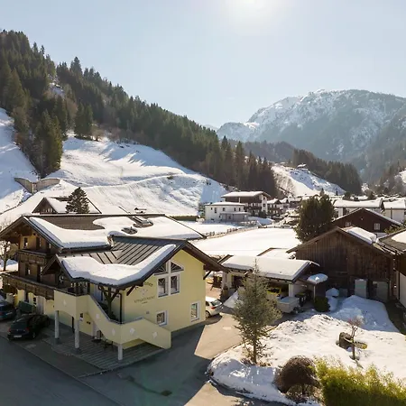 In Hollersbach Near Lift, Cleaning Included Hollersbach im Pinzgau